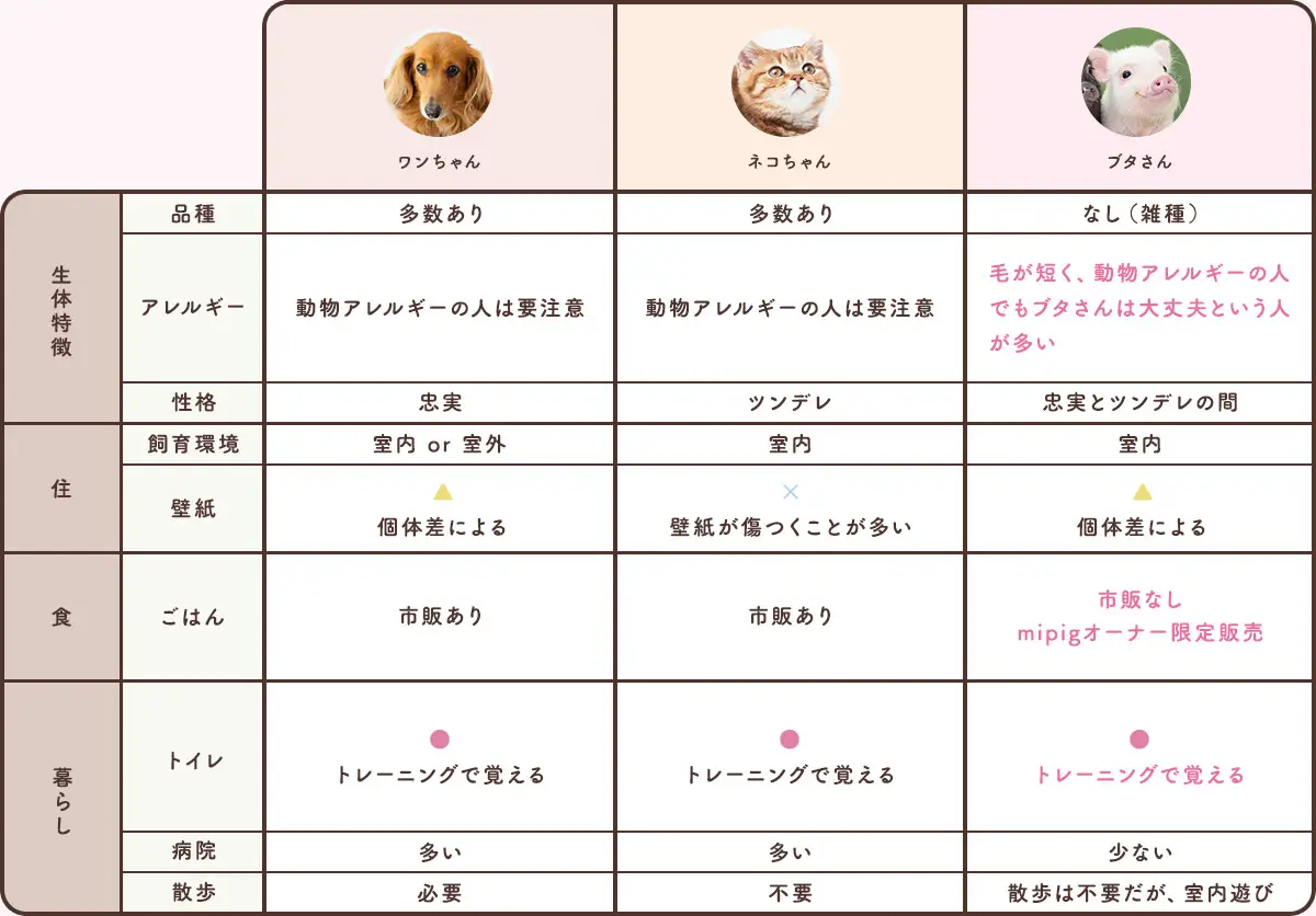 比較表