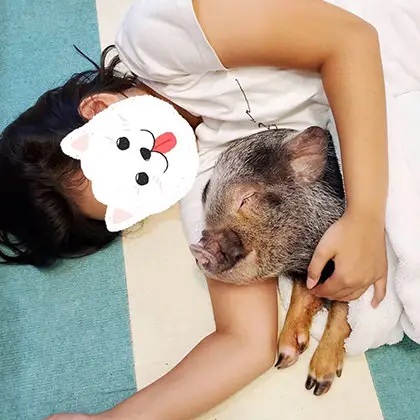 @micropig__guri