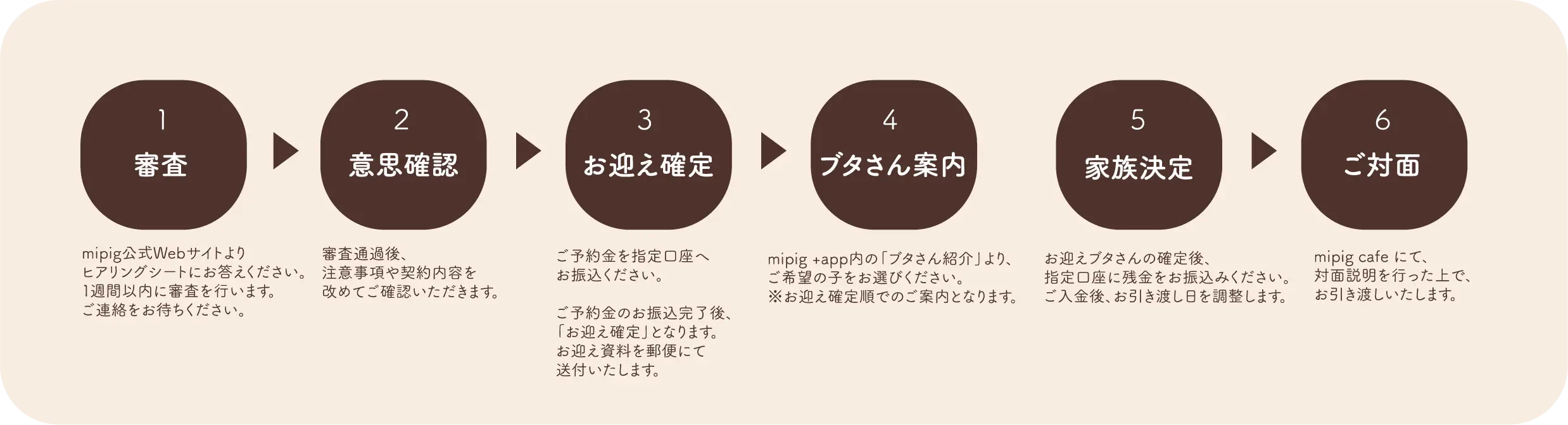 6STEP