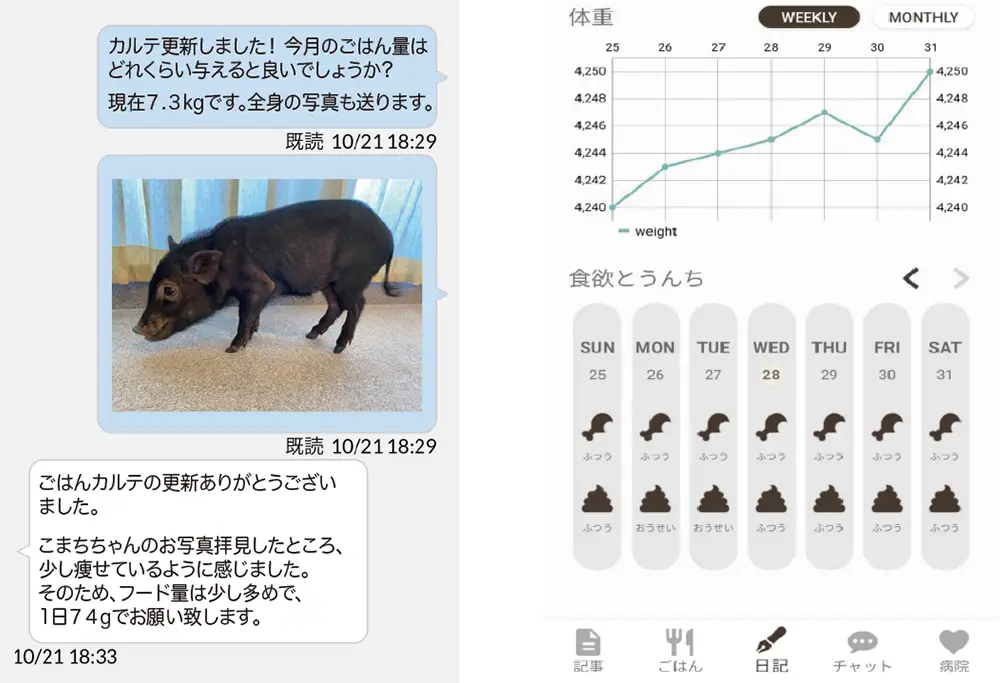 成長の記録