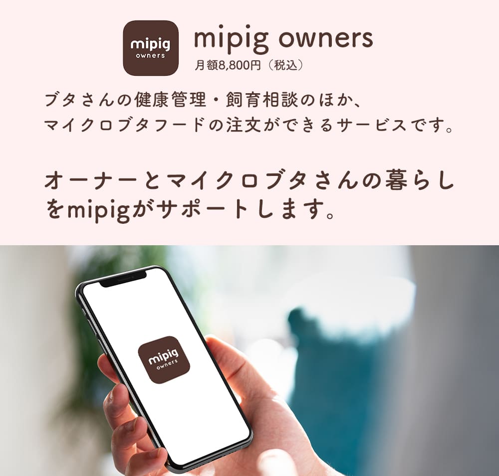 オーナーとマイクロブタさんの暮らしをmipigがサポートします。