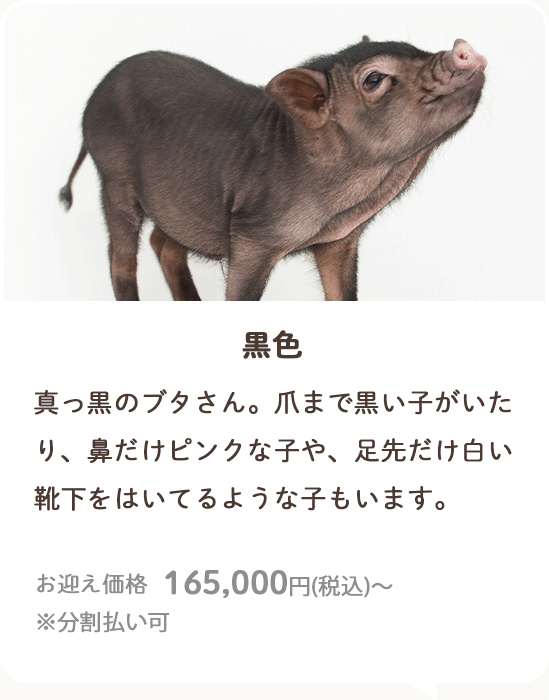 黒色