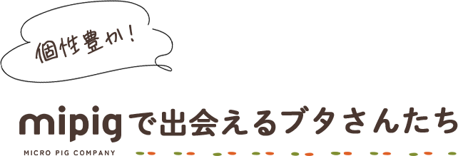 個性豊か!mipigで出会えるブタさんたち
