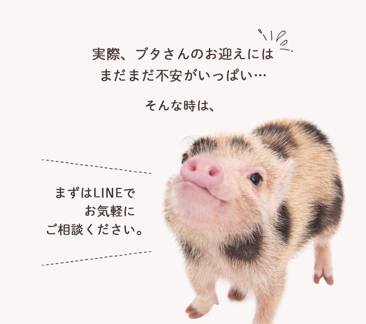 実際、ブタさんのお迎えにはまだまだ不安がいっぱい...
そんな時は、まずはLINEでお気軽にご相談ください。