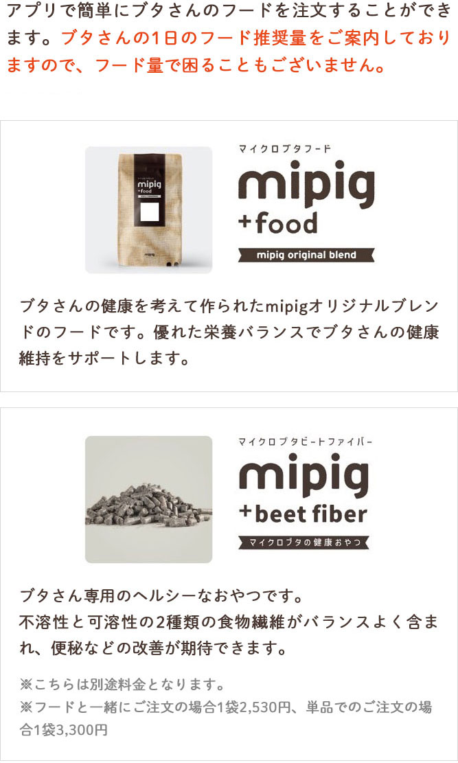 フード注文イメージ